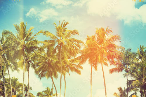Fototapeta Naklejka Na Ścianę i Meble -  Palm trees at tropical coast, vintage toned and film stylized