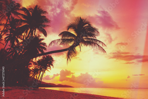 Beautiful tropical sunset with palm trees silhoette © nevodka.com