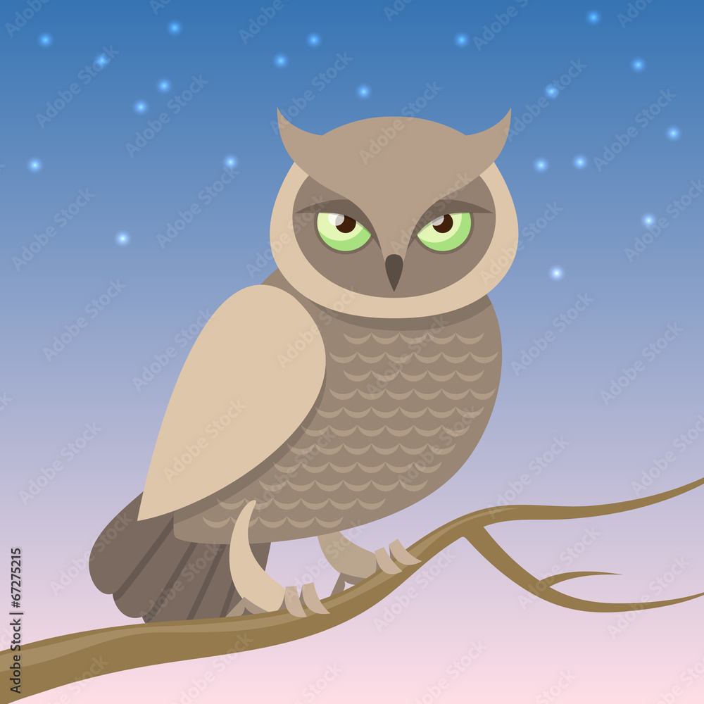 Fototapeta premium Owl on a Branch