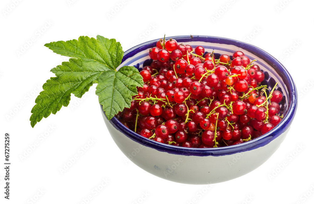 Red currant Red currant