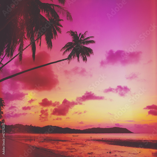 Tropical beach with palm tree at sunset