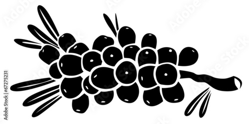 Seabuckthorn