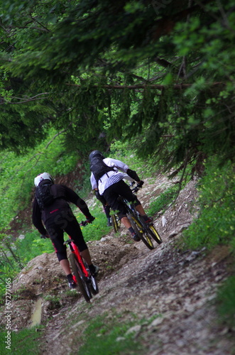 vtt de descente - saint pierre de chartreuse photo