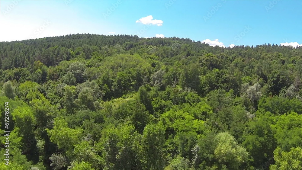 wood on hill .Aerial wood on hill .Aerial