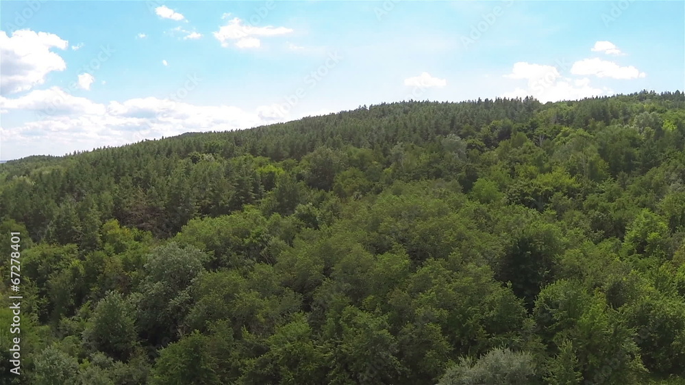 wood on hill .Aerial view wood on hill .Aerial view