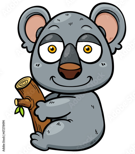Vector illustration of Koala Bear