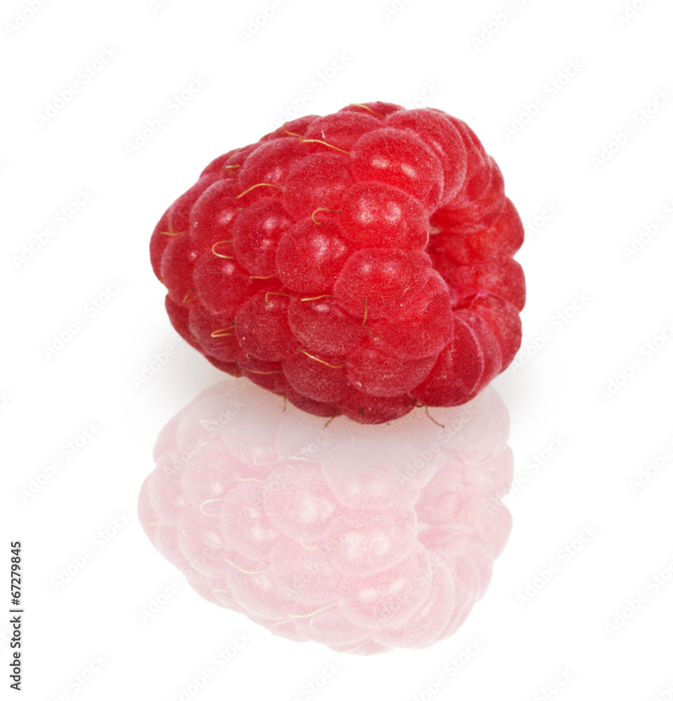 Fresh red raspberry Fresh red raspberry