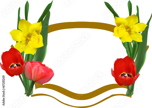 frame decorated by tulips and narcissus on white