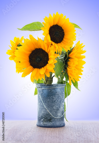 Fototapeta Naklejka Na Ścianę i Meble -  Sunflower isolated on colorful background