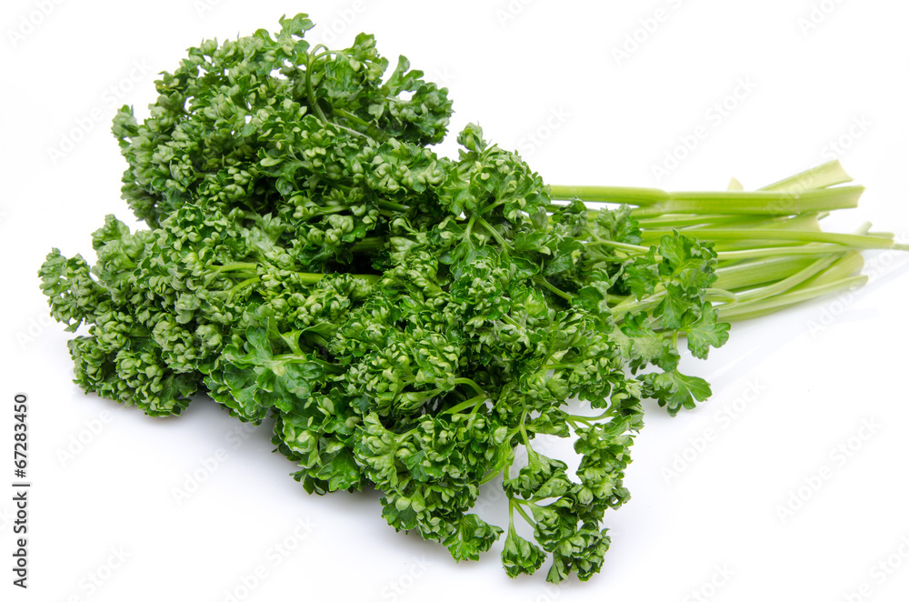 Bunch of parsley