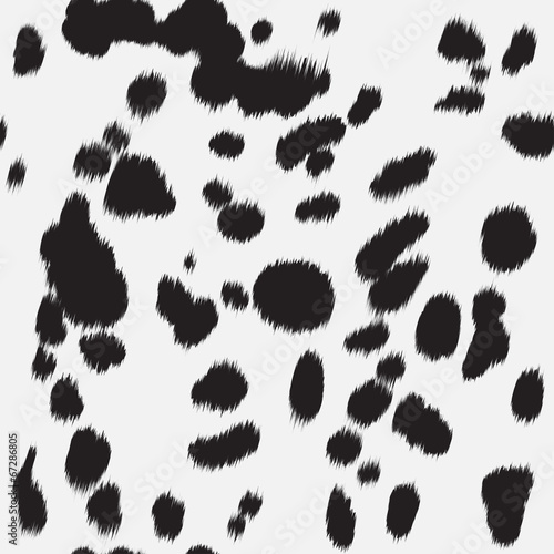 dalmatian skin