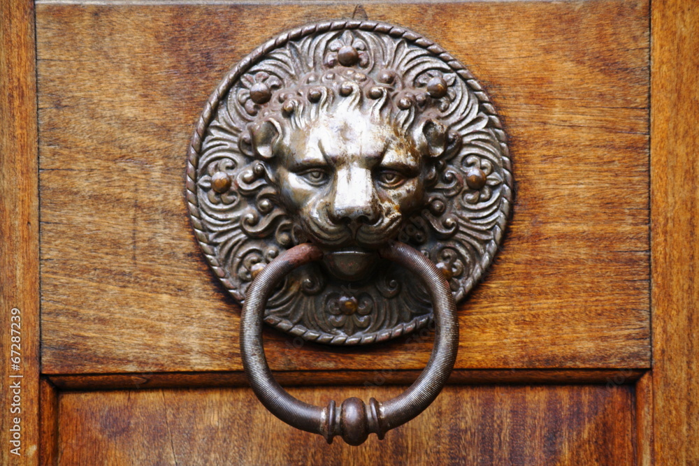 bronze metal lion head Door Knocker bronze metal lion head Door Knocker
