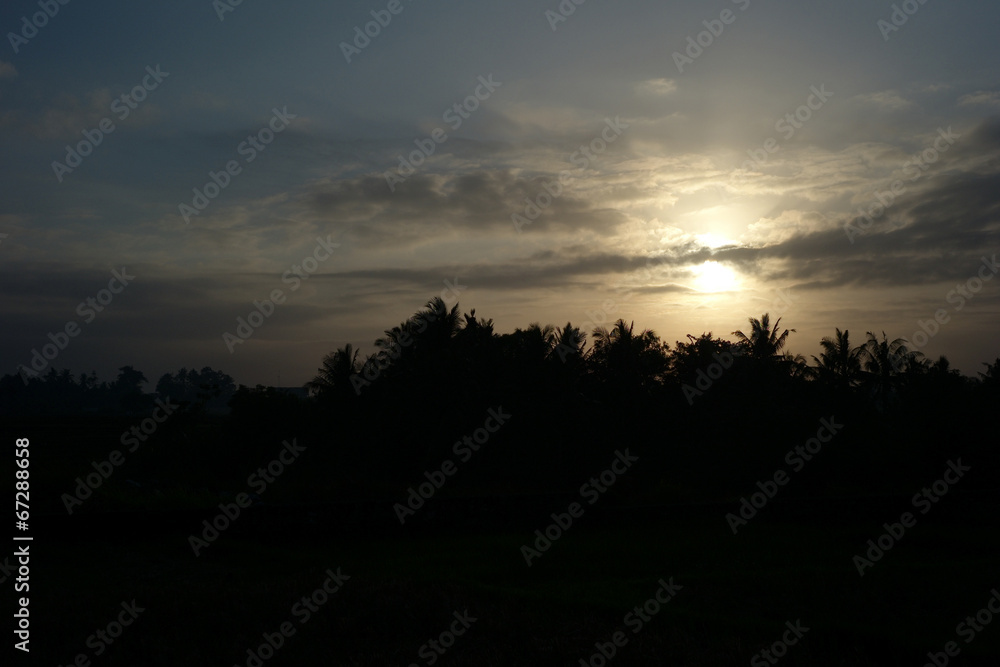 Sunset over Bali, Indonesia with trees in foreground