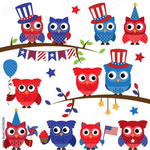 Set of Vector Fourth of July or Patriotic Owls and Branches 