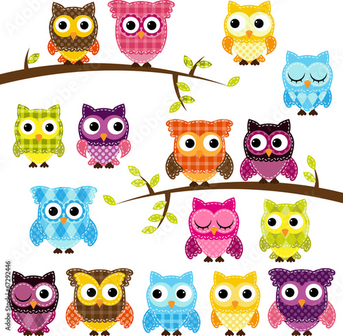 Vector Set of Patchwork Or Quilt Style Owls and Branches