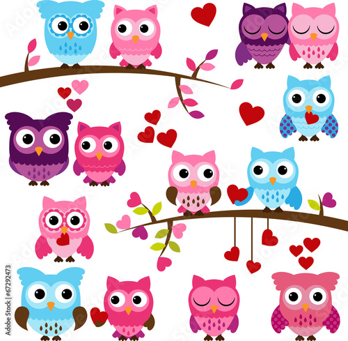 Vector Set of Wedding Themed Owls and Branches 