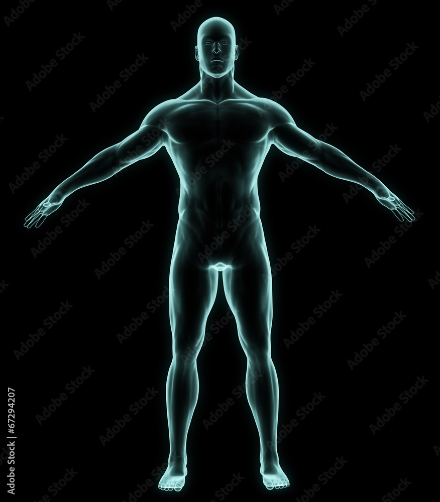 X-ray human full body X-ray human full body