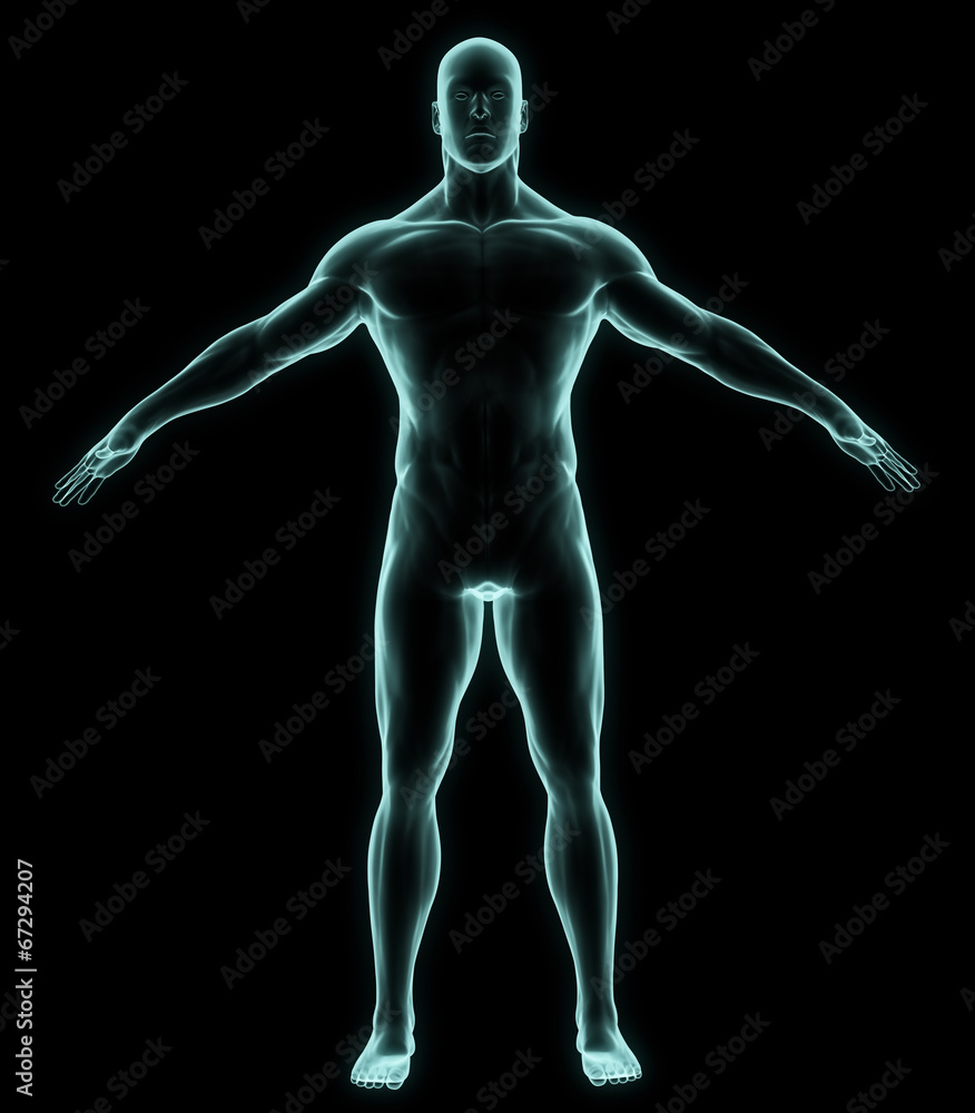 X-ray human full body