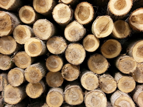 Wood Logs background