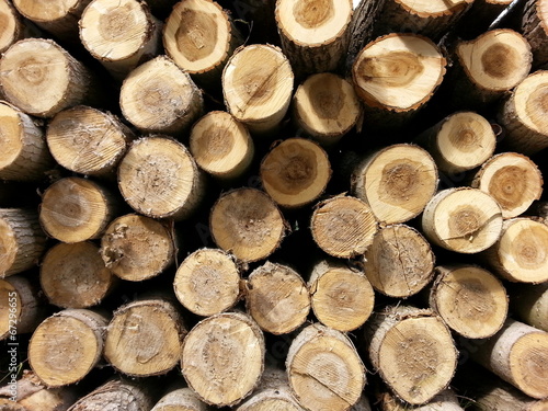 Wood Logs background