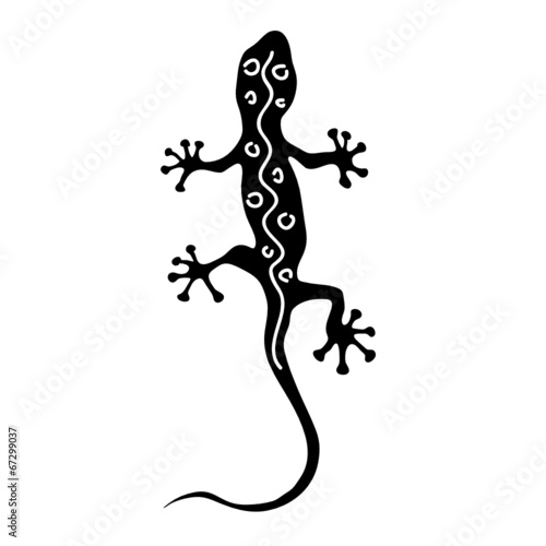gecko in black silhouette with white line