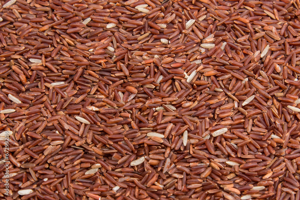 Brown Rice close-up