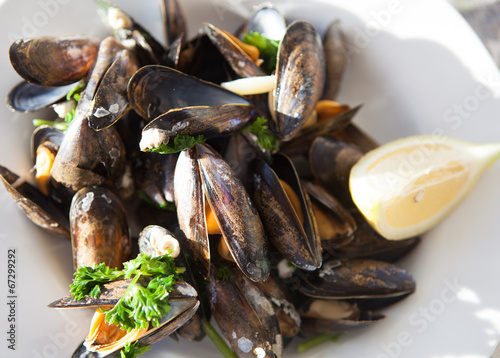 Mussels cooked in vine