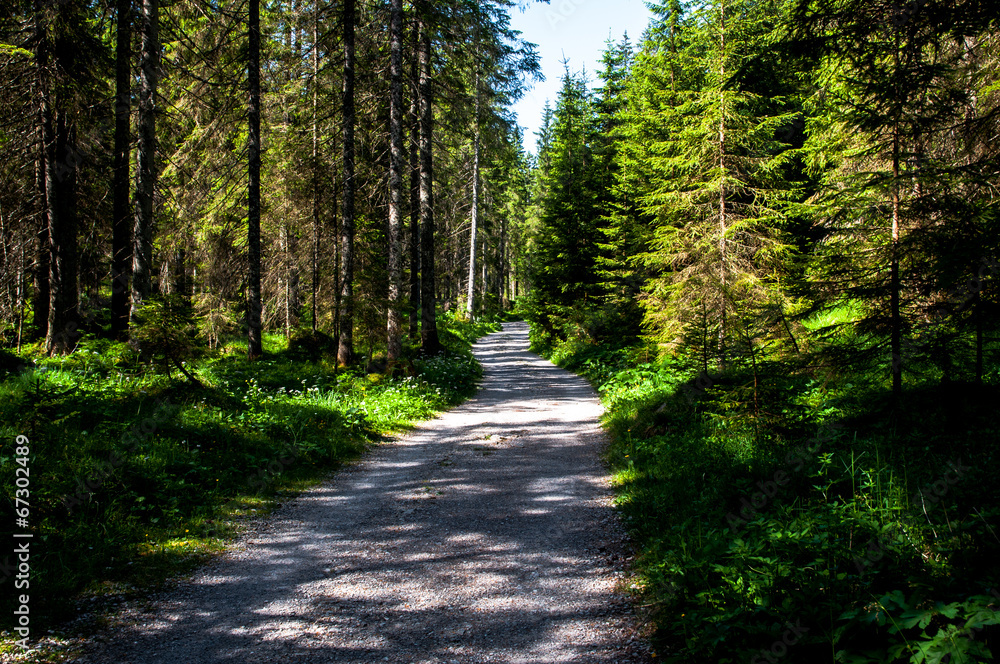 Fototapeta premium Tannheimer Tal, Austria, szlak turystyczny Vilsalpsee