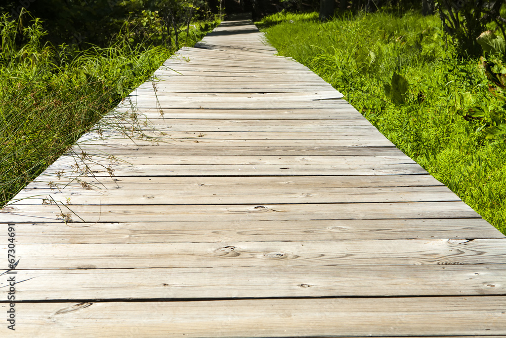Wooden Boardwalk Wooden Boardwalk