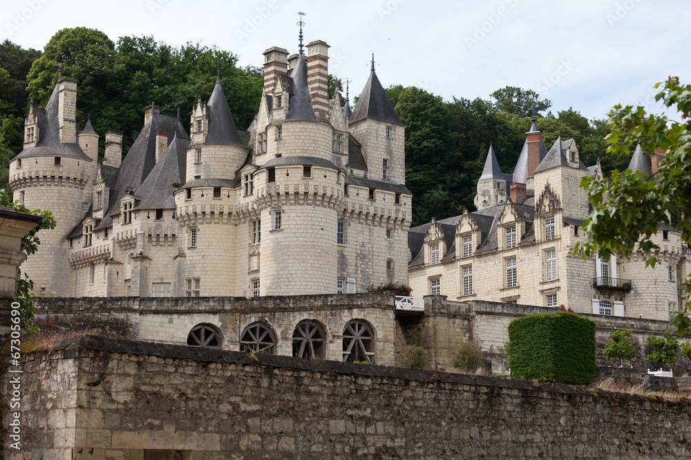 Castel of Rigny-Usse . Loire Valley, France