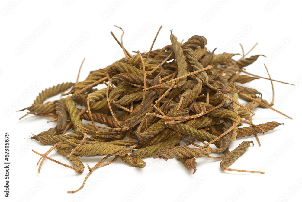 East Indian screw tree