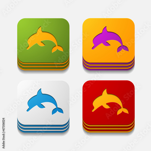 square button  dolphin