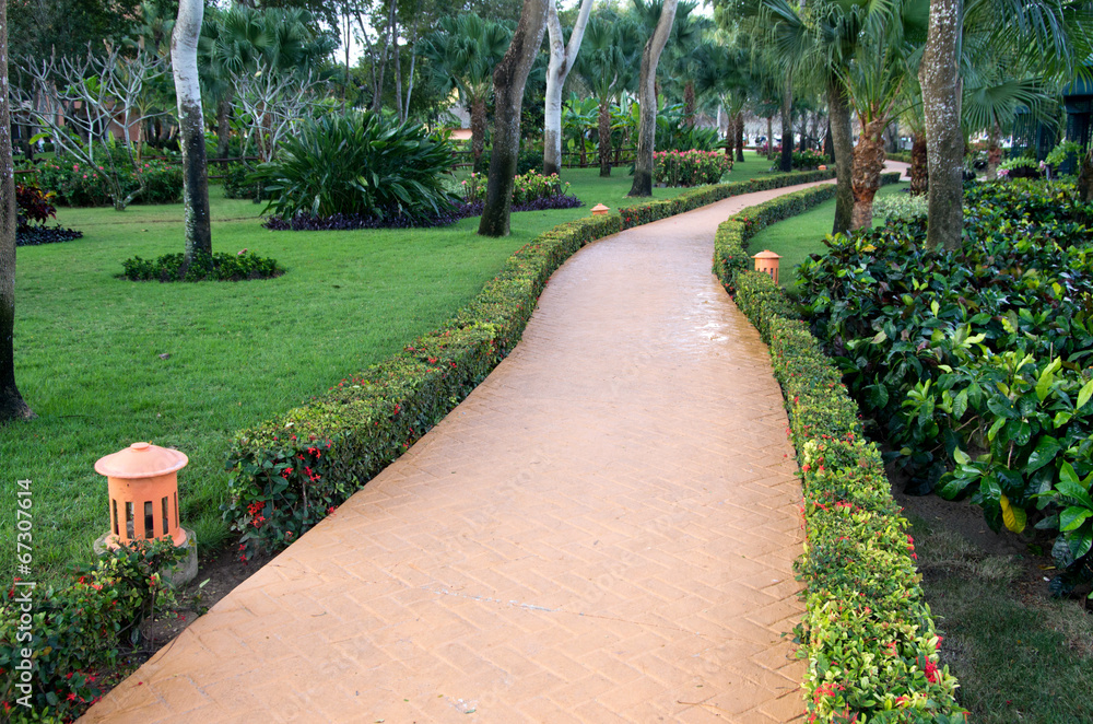 Obraz premium Garden