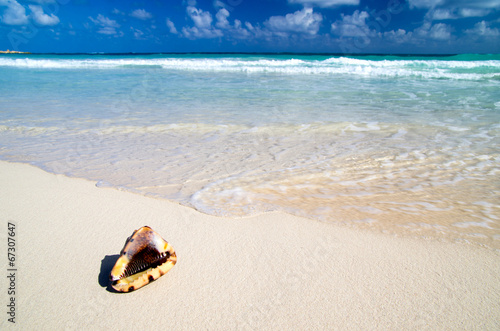 Canvas Print caribbean beach