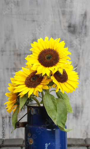 Bouquet of sunflowers, copy space