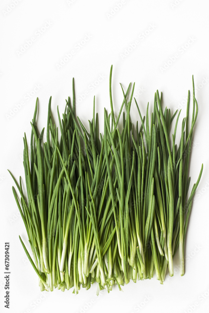 Naklejka premium Fresh chives
