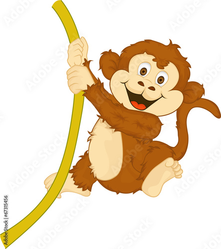 Photography monkey