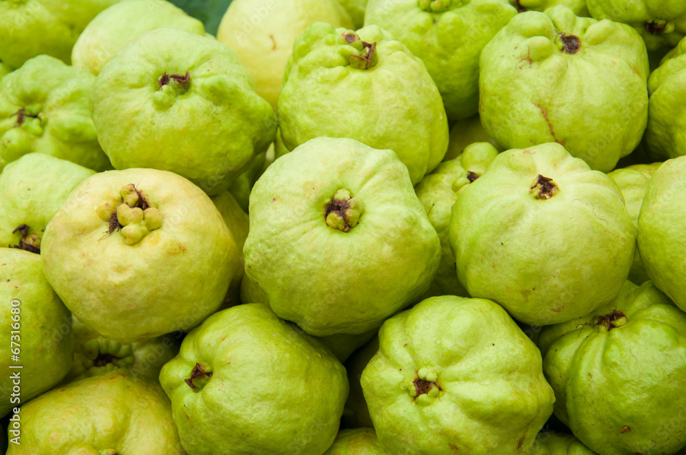 Guava background Guava background