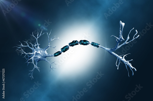 neuron digital illustration