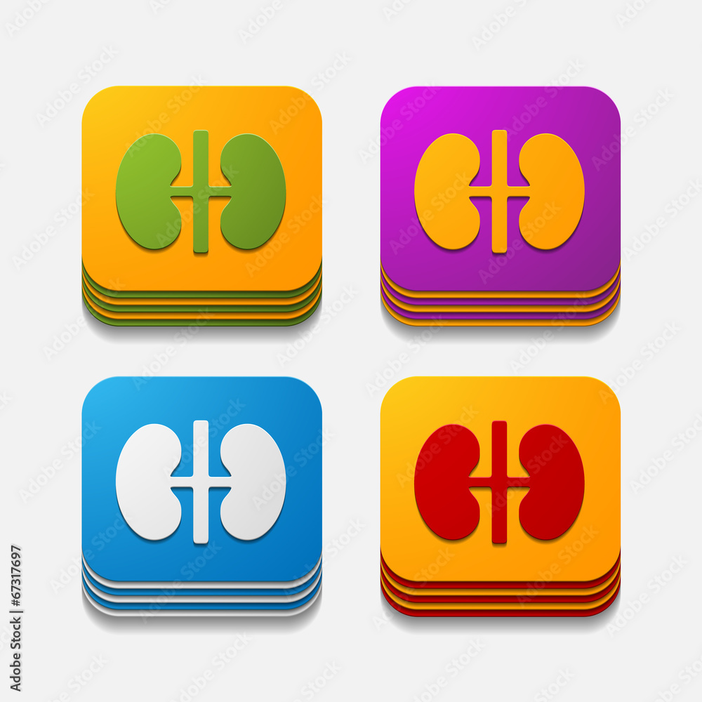 Obraz premium square button: kidneys