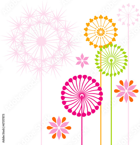 Dandelions colored