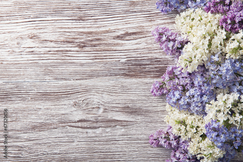 lilac flowers on wood background, blossom branch on vintage wood