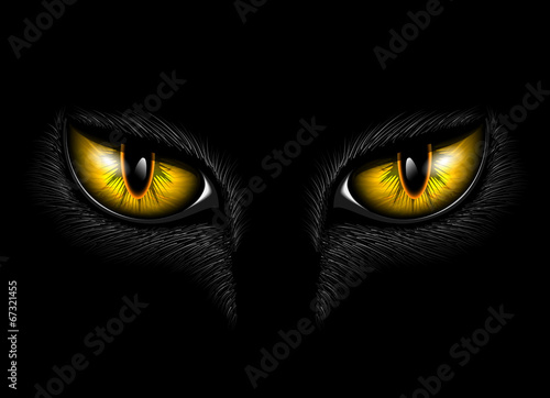 yellow cat's eye