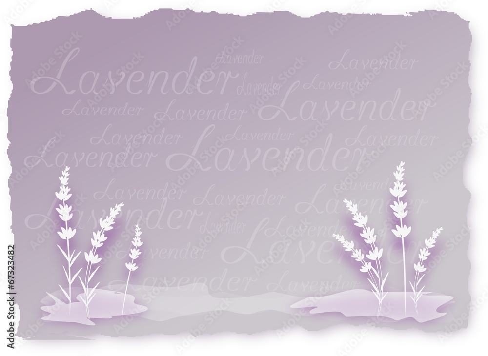 Obraz premium Lavender Background