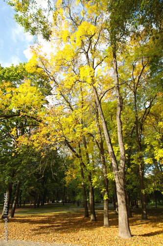 Bike Path in the autumn park