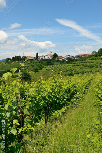 Obraz na płótnie Goriska Brda, Slovenia