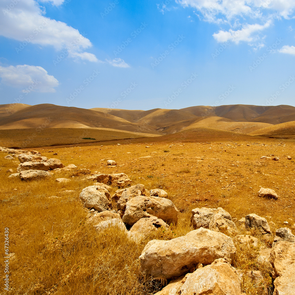 Naklejka premium Stones