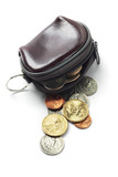 Leather Purse And Coins