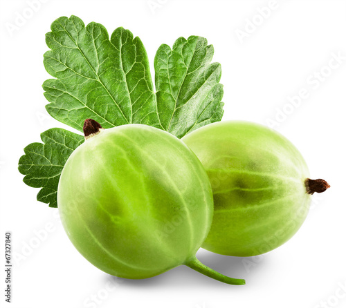 Plakat w ramie Gooseberries