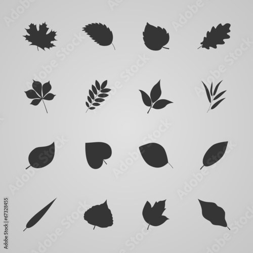 Set of leaves, vector illustration